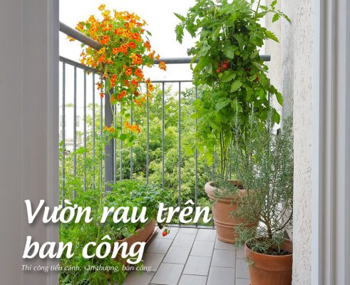 luu-y-khi-bat-dau-trong-rau-tren-ban-cong(1)