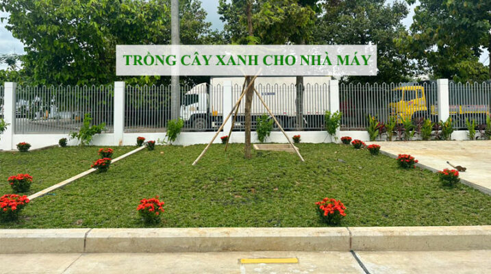 Trồng cây xanh cho nhà máy visip tại Quảng Ngãi